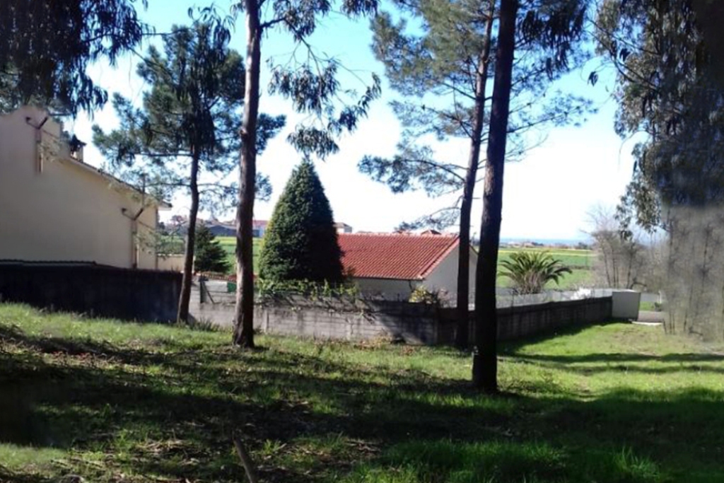 Floresta Limpa até ao Último dia de Abril