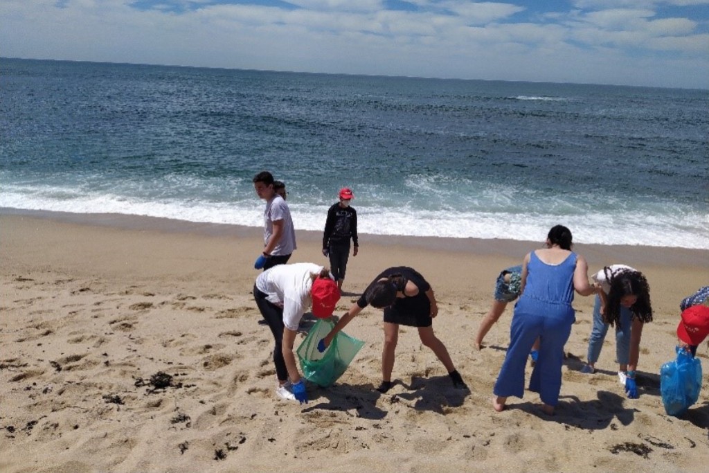 Limpeza da Praia da Salgueira Marcou o Dia Europeu do Mar