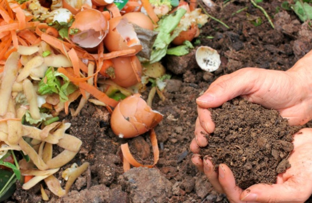 Aprendizagem Eletrônica de Compostagem Caseira e Desperdício Alimentar