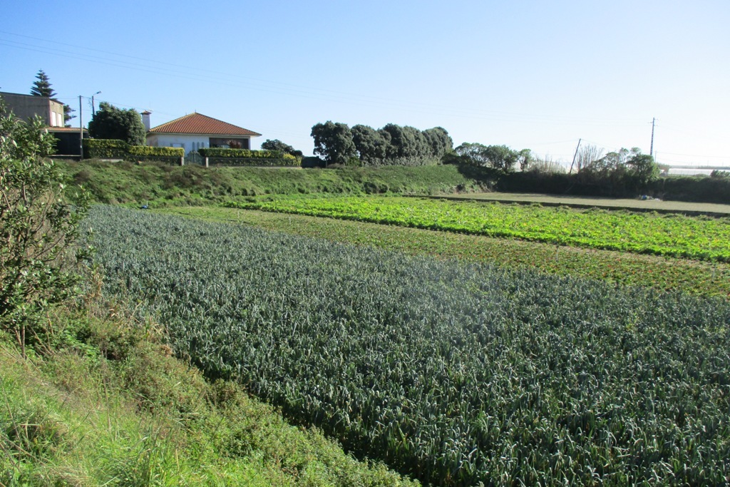 Recenseamento Agrícola em Todo Território Nacional