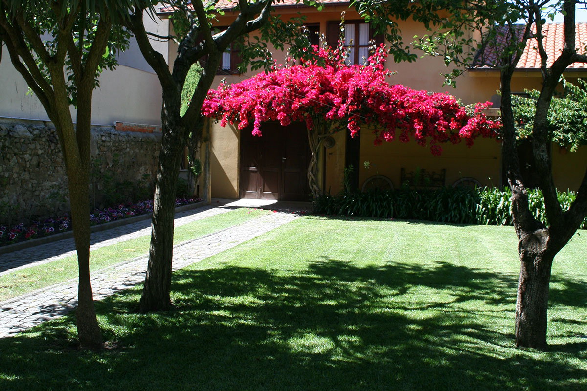 Criar Arte com Algas na Biblioteca de Jardim