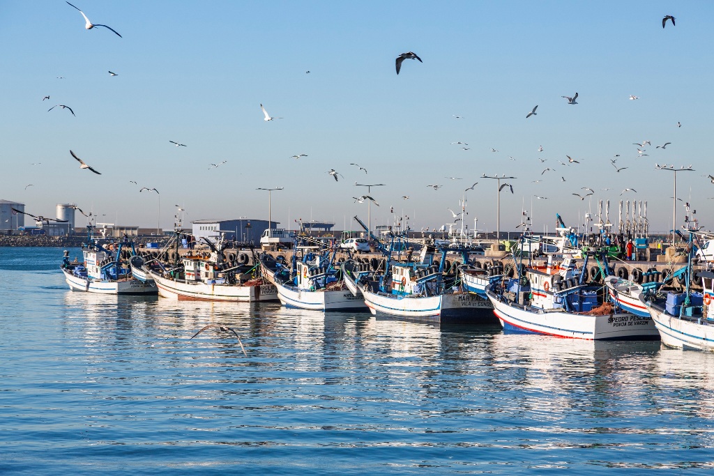 Mercadona Valoriza o Sector Pesqueiro Português