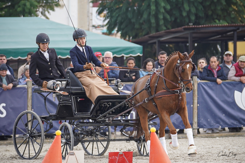 Bernardo e Patrícia Conquistam 4 Medalhas de Ouro em 2022