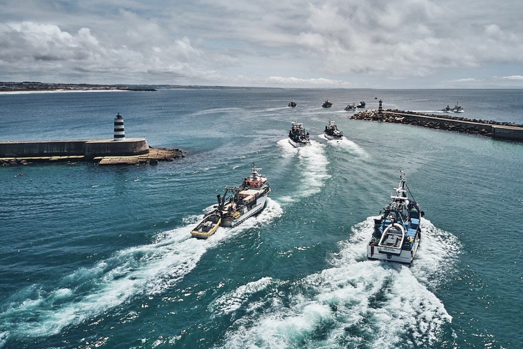 Diana Bar: Sardinha, o sem fim da pesca do cerco