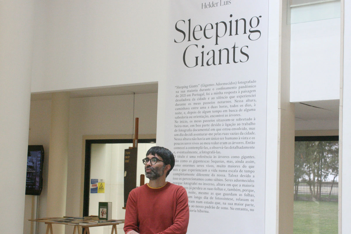 A Impaciência dos Gigantes Adormecidos, na Biblioteca