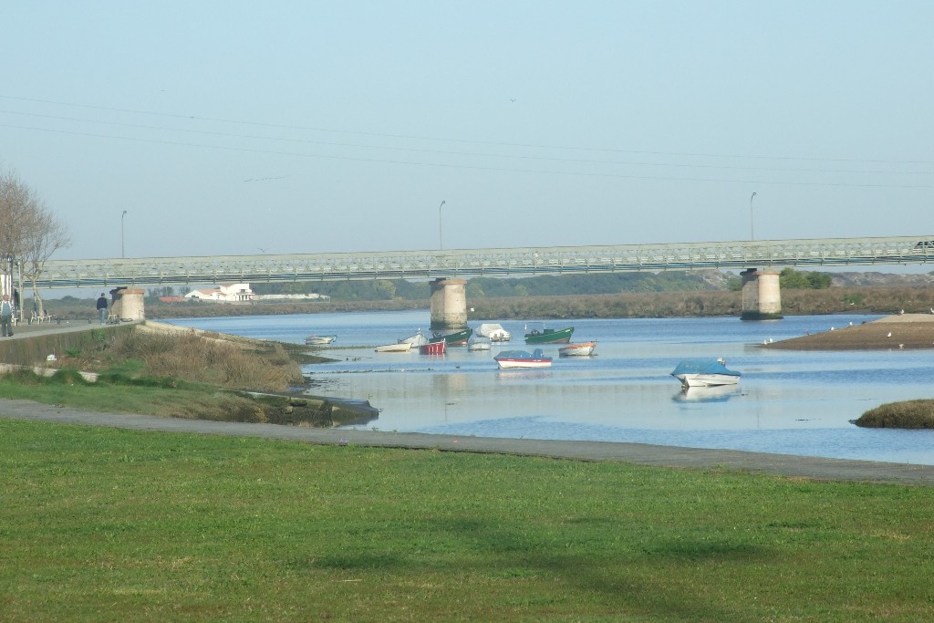 Infraestruturas de Portugal Anuncia Intervenção na Ponte D. Luís Filipe