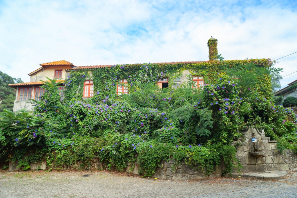 Casa Museu Escritor Manuel de Boaventura