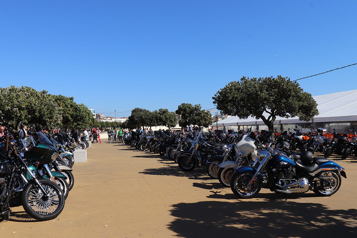 Encontro Nacional da Harley-Davidson é na Póvoa