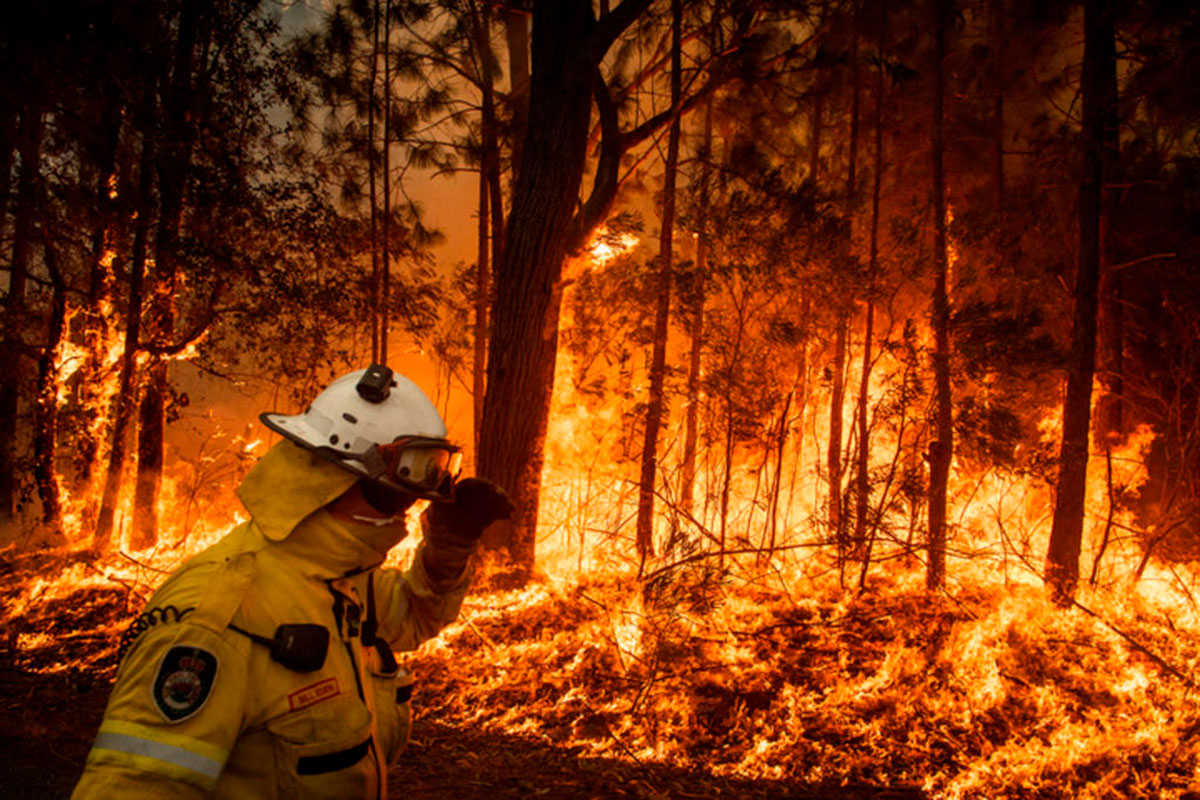 O Drama dos Grandes Incêndios na Austrália