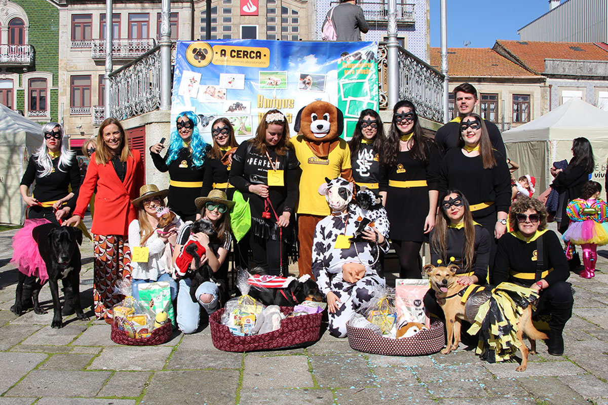 Carnaval em Quatro Patas