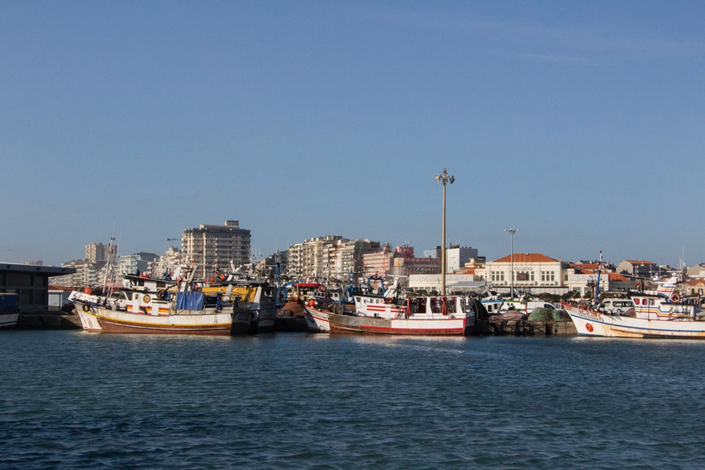 Ministro do Mar pede Apoios a Bruxelas para o Sector da Pesca e Aquicultura