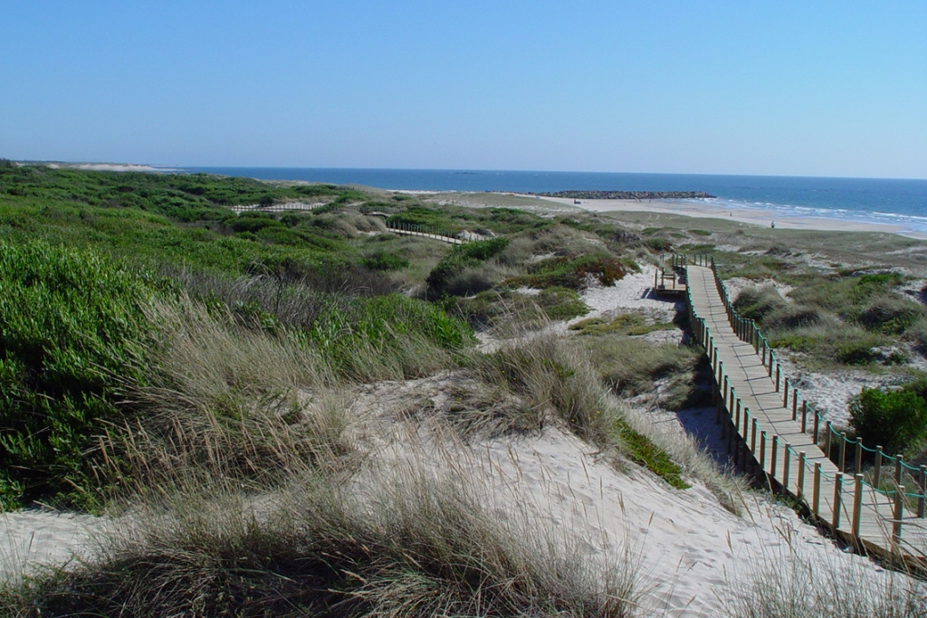 Parque Natural do Litoral Norte Promove Concurso de Fotografia