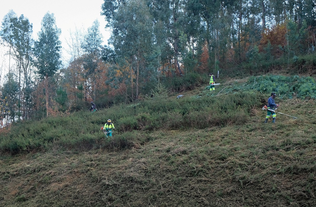 Plano Operacional Municipal 2020 Aprovado para Defesa da Floresta