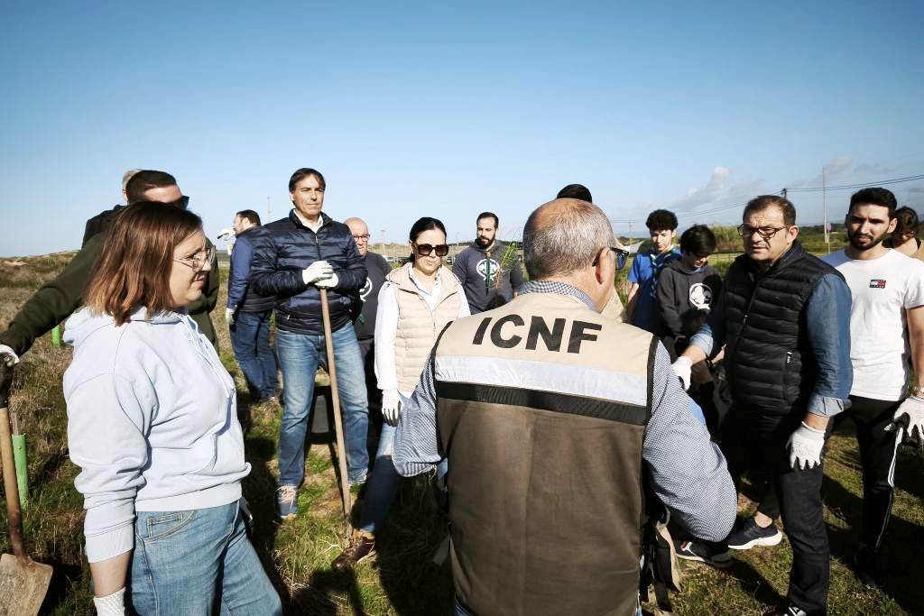 Plantação de Árvores tornam Aguçadoura mais Verde