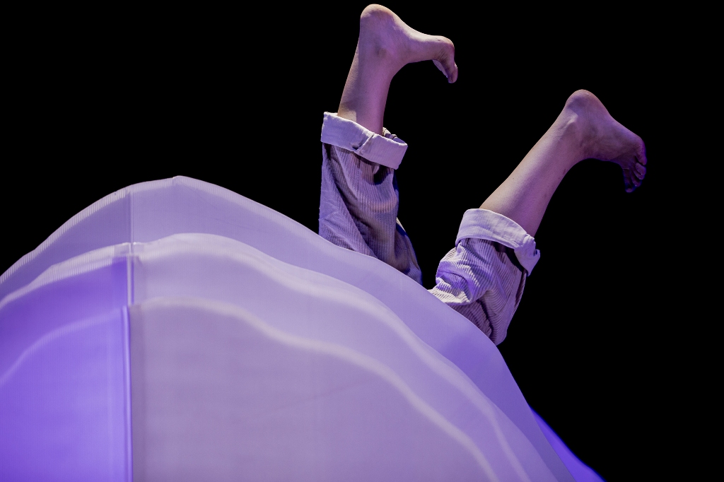 "A Maior Flor do Mundo e As Pequenas Memórias" de Saramago