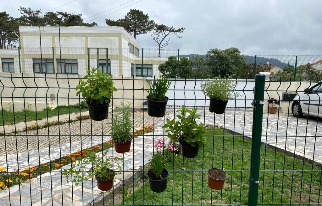 Dia Mundial do Ambiente com Mini Hortas Ecológicas