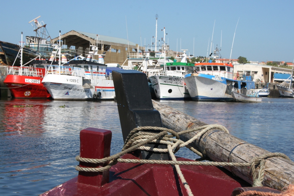 Vila do Conde Atribui Apoio Excepcional aos Pescadores
