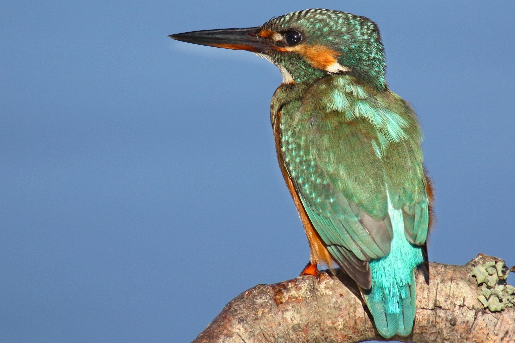 Concurso de Fotografia “Um Olhar Natural” do Parque Litoral Norte