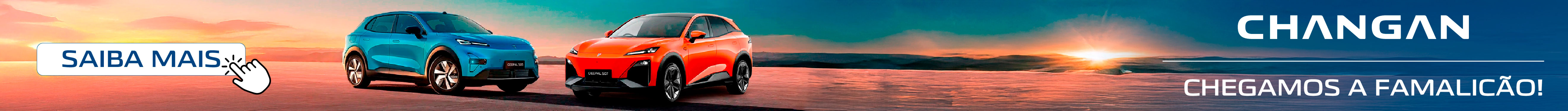 Banner Publicitário