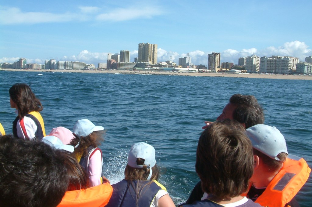 Fique em Casa, o Mar Não o Quer ver Naufragar