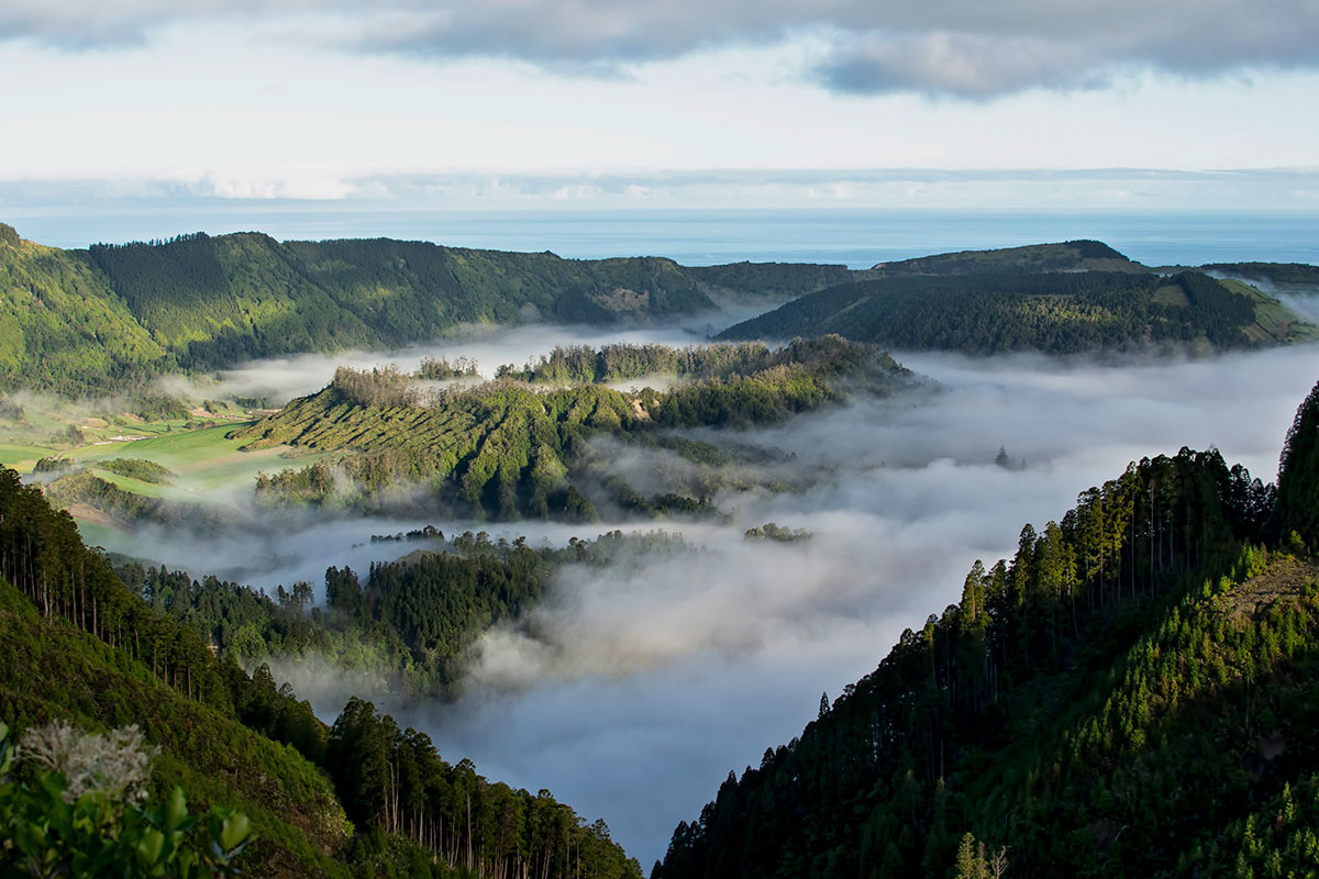 Recobro da Inusitada Paisagem