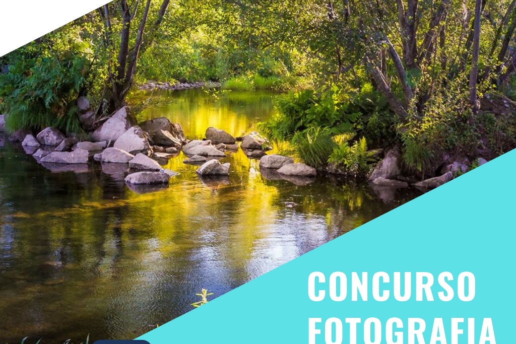 Concurso fotográfico da CIM Cávado