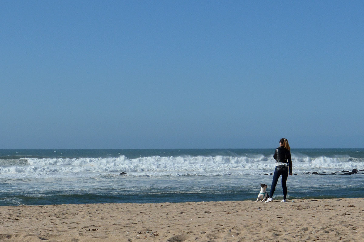 Vento e Mar a Combinar Bravezas