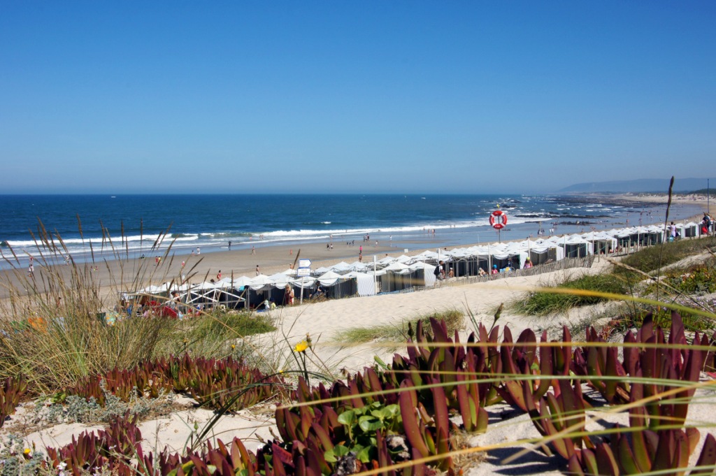 Seis praias com “Qualidade de Ouro” em Esposende