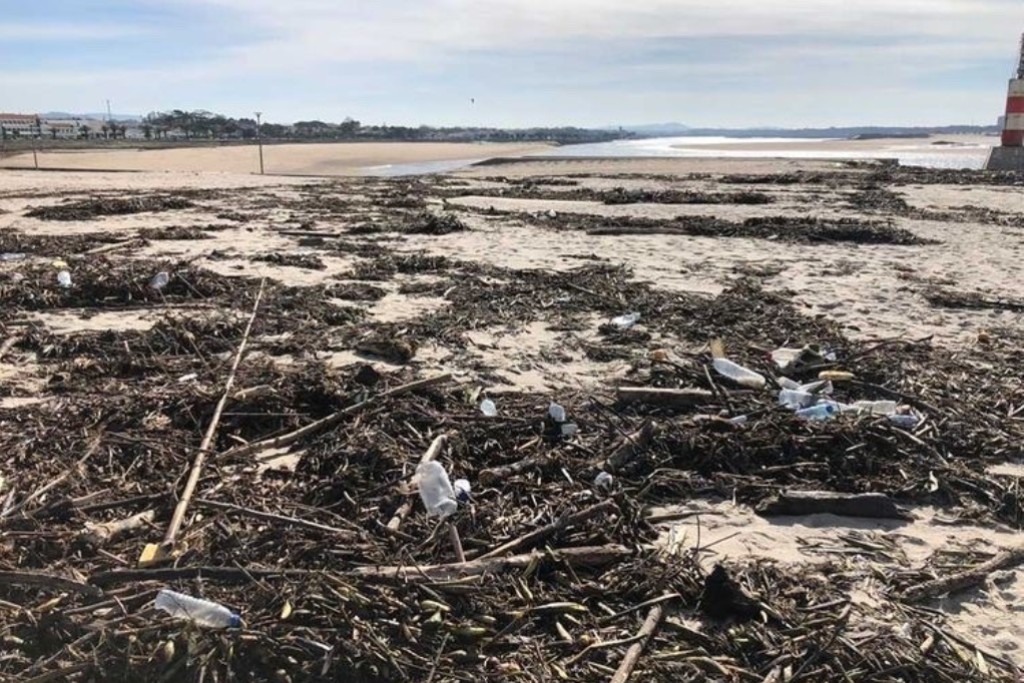 Esposende Ambiente Promove Acção de Limpeza das Praias